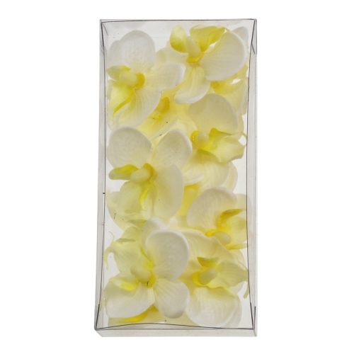 Hodvábny kvet orchidey ivory (12 ks)
