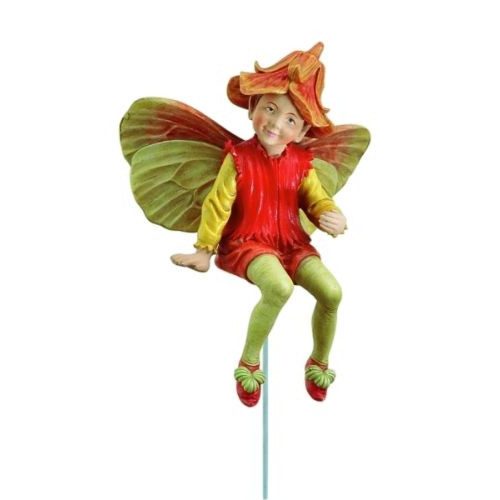 Nasturtium Fairy