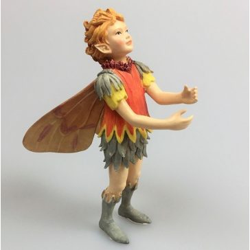 Gaillardia Fairy