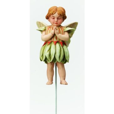Trifolium Fairy