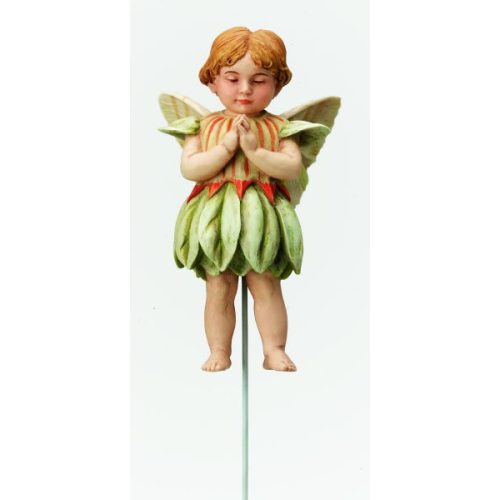 Trifolium Fairy