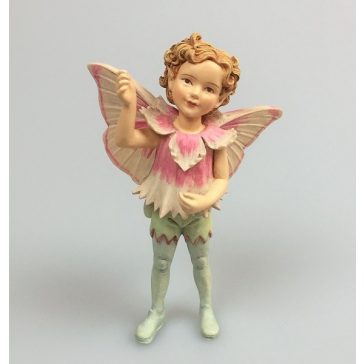Pink Fairy Boy