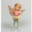 Pink Fairy Boy
