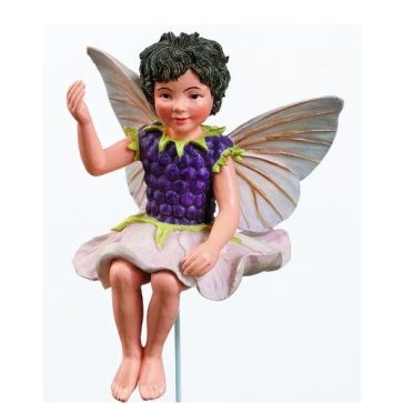 Blackberry fairy