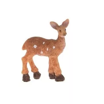 Roe