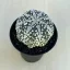 Astrophytum asterias 'Super Kabuto'