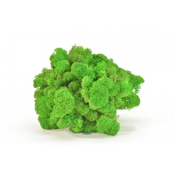 Lišajník limetková light zelená 1kg