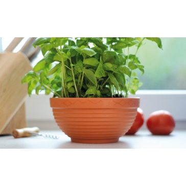 Misa kvetináč Ø13cm