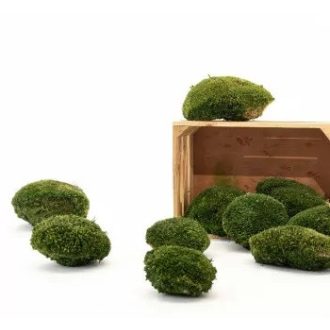 Stabilizovaný Sibírsky Mach - Ball moss