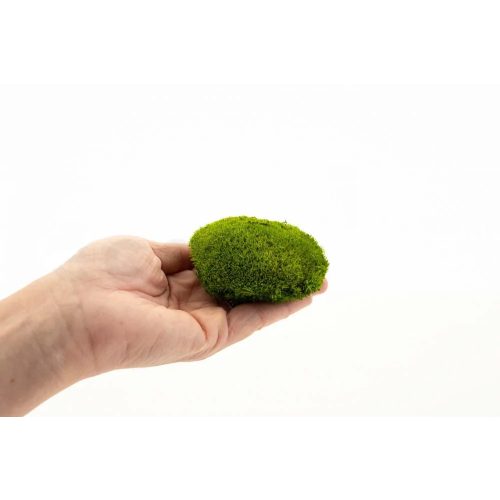 Stabilizovaný Sibírsky Mach - Ball moss - Light Green