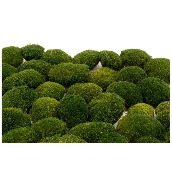 Stabilizovaný Sibírsky Mach - Ball moss - Nature Green Stabilizovaný Sibírsky Mach - Ball moss - Nature Green