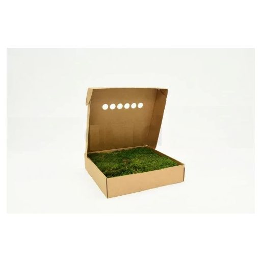 Zachovalý mach 600g