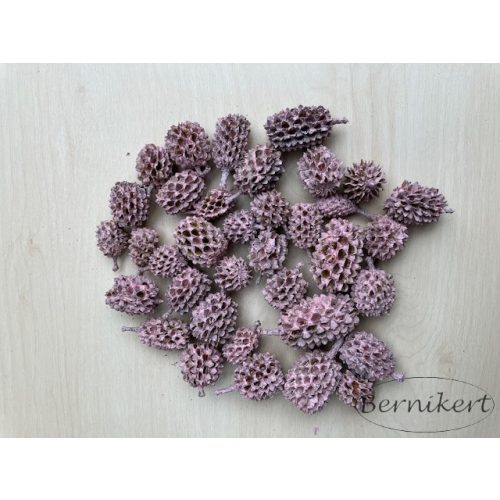 Casuarina slez sfarbený 50g