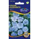 Linum perenne 4g