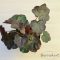Heuchera micrantha 'Palace Purple'