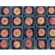 Sempervivum 19. (1ks)
