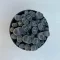Lithops