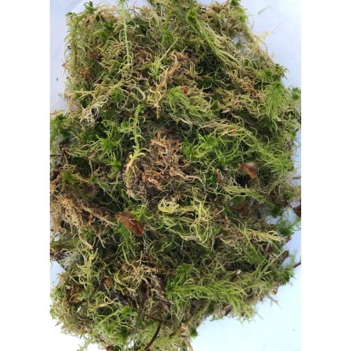 Sphagnum moss 1,4L