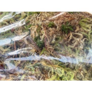 Sphagnum moss 4L