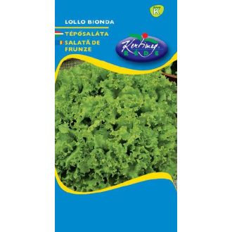 Trhací šalát Lollo Bionda 2g