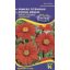 TITHONIA ROTUNDIFOLIA 